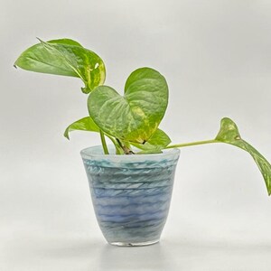 May include: A small potted plant with heart-shaped green leaves with yellow variegation. The plant is in a blue and gray glass pot with a textured, layered design. The pot is sitting on a white surface.