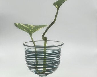 Hand Blown Glass Propagation Vase Pedestal Planter for Pothos Cuttings