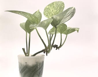 Mini Succulent Planter with Drainage Hole – Handblown Glass Houseplant Pot – Artisan Vessel
