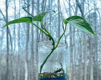 Handblown Glass Hanging Propagation Vase – Cobalt & Moss Green Base – Window Plant Holder