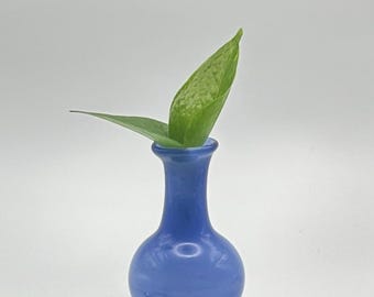 Handblown Cobalt Blue Glass Bud Vase – Light Cobalt Over White Flower Vessel