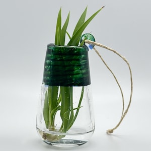 May include: A clear glass vase with a green, textured top and a small plant inside. The plant has long, green leaves. A small, blue and green glass bead is attached to the top with a natural twine. The vase is on a white background.