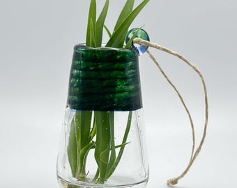 Handblown Hanging Glass Propagation Vessel in Clear and Deep Green #10