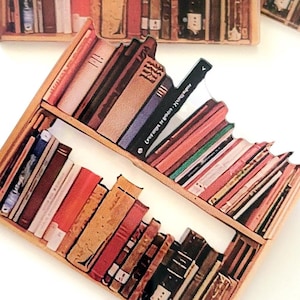 Bookshelf Brooch Acrylic Pin | Whimsical Gift for Bookish Person