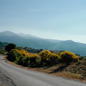 Peinture murale Toscane 2 - photographie, décoration, paysage, design d'intérieur, photographie de nature, ameublement, décoration murale, embellissement