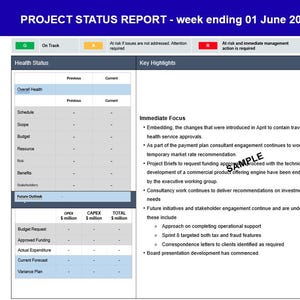 May include: A project status report with a blue header and white background. The report includes sections for health status, key highlights, and challenges. Text includes "Immediate Focus" and "Future Activities". The report is for the week ending 01 June 2025.