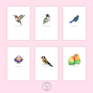Lot de 6 cartes de correspondance illustrées | Cartes de notes d'oiseaux aquarelles faites à la main | Cartes de correspondance avec enveloppes | Cartes de correspondance vierges