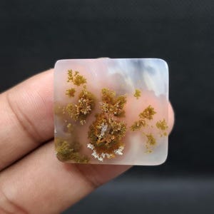 Moss Agate with unniqe motif (zero,eight,four). plume agate , flower agate, picture agate || (26 mm x24 mm x 4 mm) read description