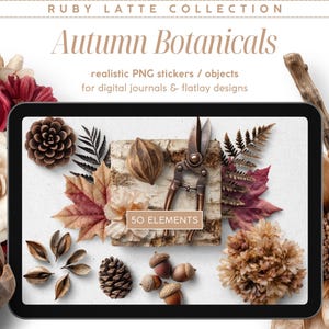 Adesivos digitais realistas, botânicos de outono, série Ruby Latte, clipart para criação de cenas, objetos PNG, diário digital, moodboard flatlay