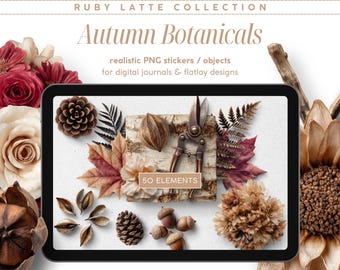 50 pegatinas realistas para agenda digital Ruby Latte Autumn Botanicals, objetos PNG transparentes para crear escenas planas y uso comercial.