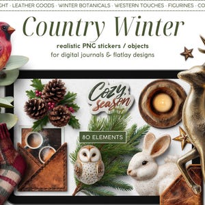 May include: A digital art composition with a winter theme. It features a red cardinal, a lantern, pine cones, socks, an owl, a rabbit, a deer, and the text "Country Winter" and "Cozy Season".