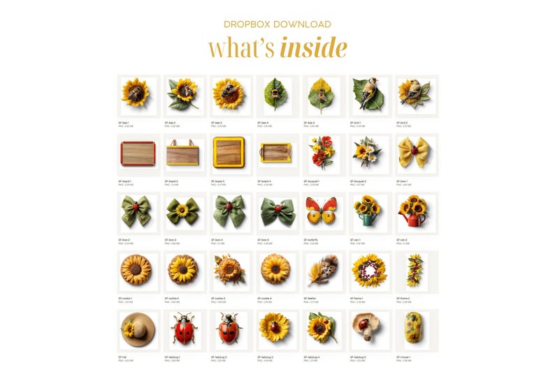 Pode incluir: Uma cole&ccedil;&atilde;o de 36 imagens com v&aacute;rios objetos, incluindo girass&oacute;is, borboletas, p&aacute;ssaros, la&ccedil;os, placas de madeira e uma joaninha. As imagens est&atilde;o dispostas em uma grade sobre um fundo branco. O texto "Dropbox Download" e "what's inside" aparece na parte superior da imagem.