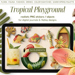 Stickers numériques réalistes, aire de jeux tropicale, clipart créateur de scène, objets PNG, tableau de bord numérique, agenda, journal, tableau d'ambiance à plat