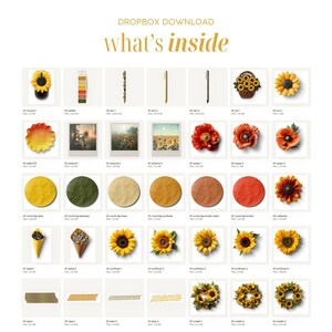 Pode incluir: Uma colagem digital de v&aacute;rios designs de flores de girassol e papoula, incluindo coroas, flores individuais e um girassol em um cone. Os designs est&atilde;o em um formato de grade com o texto "Dropbox Download" e "what's inside" no topo.