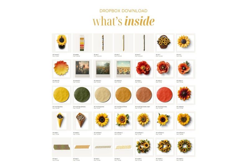 Pode incluir: Uma colagem digital de v&aacute;rios designs de flores de girassol e papoula, incluindo coroas, flores individuais e um girassol em um cone. Os designs est&atilde;o em um formato de grade com o texto "Dropbox Download" e "what's inside" no topo.