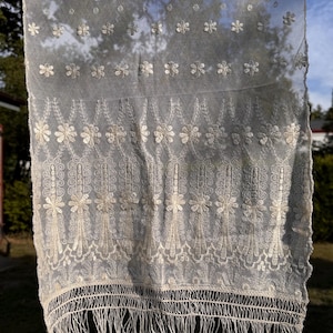 Vintage Pair Lace Curtain Panels French Cafe Vintage Net Flowers Fringing Cafe Panels