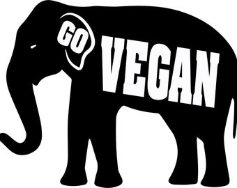 T-Shirt vegan