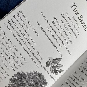 May include: A black and white illustration of a beech tree with the text "The Beech, The Oracle, Protecting the Heart, Creates Space for Trust, For New Growth."  The text also includes "Remembering Brings Wisdom, We Gain Future Learning, Spirit Overcomes Time, From Our Experience of What Has Gone Before."  The text also includes the website address "www.thebeechtreeinkirriemuir.co.uk".