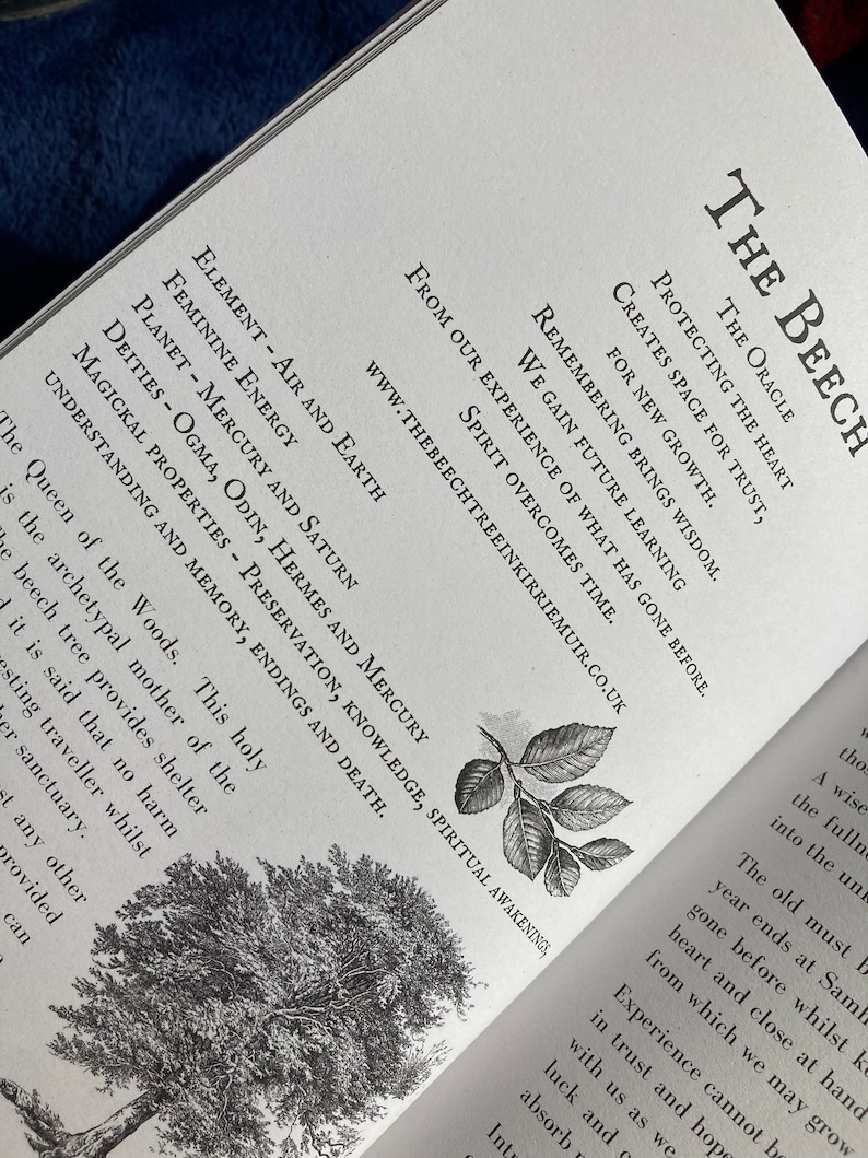 May include: A black and white illustration of a beech tree with the text "The Beech, The Oracle, Protecting the Heart, Creates Space for Trust, For New Growth."  The text also includes "Remembering Brings Wisdom, We Gain Future Learning, Spirit Overcomes Time, From Our Experience of What Has Gone Before."  The text also includes the website address "www.thebeechtreeinkirriemuir.co.uk".