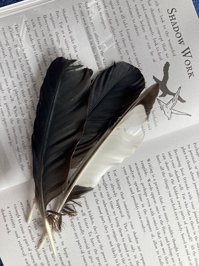 May include: A book with the title "Shadow Work" open to a page with text about shadow work. Three black feathers are placed on the page, with the tips of the feathers pointing towards the text. The text on the page discusses the concept of shadow work and how it can be used to heal wounds and help others.