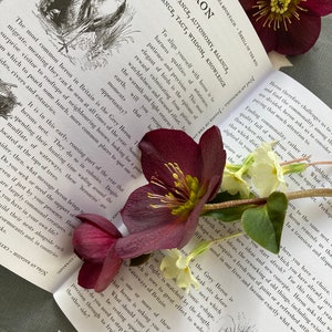 May include: A close-up of a book page with a black and white illustration of a heron. The text on the page reads "Heron" and lists qualities associated with the bird, such as "ingenuity, persistence, autonomy, balance, ability, self-reliance, tact, wisdom, knowledge". The page is partially obscured by a pink and white flower.