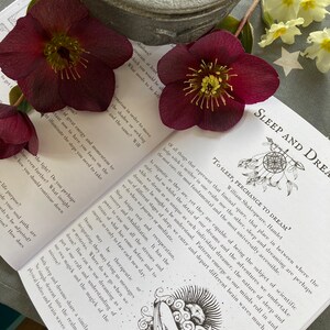 May include: A book with a black and white illustration of a whale and a crescent moon. The book's title is "To Sleep, Perchance to Dream?" and the text is a quote from William Shakespeare's Hamlet. The book is open and lying on a table with a gray pot and red flowers.