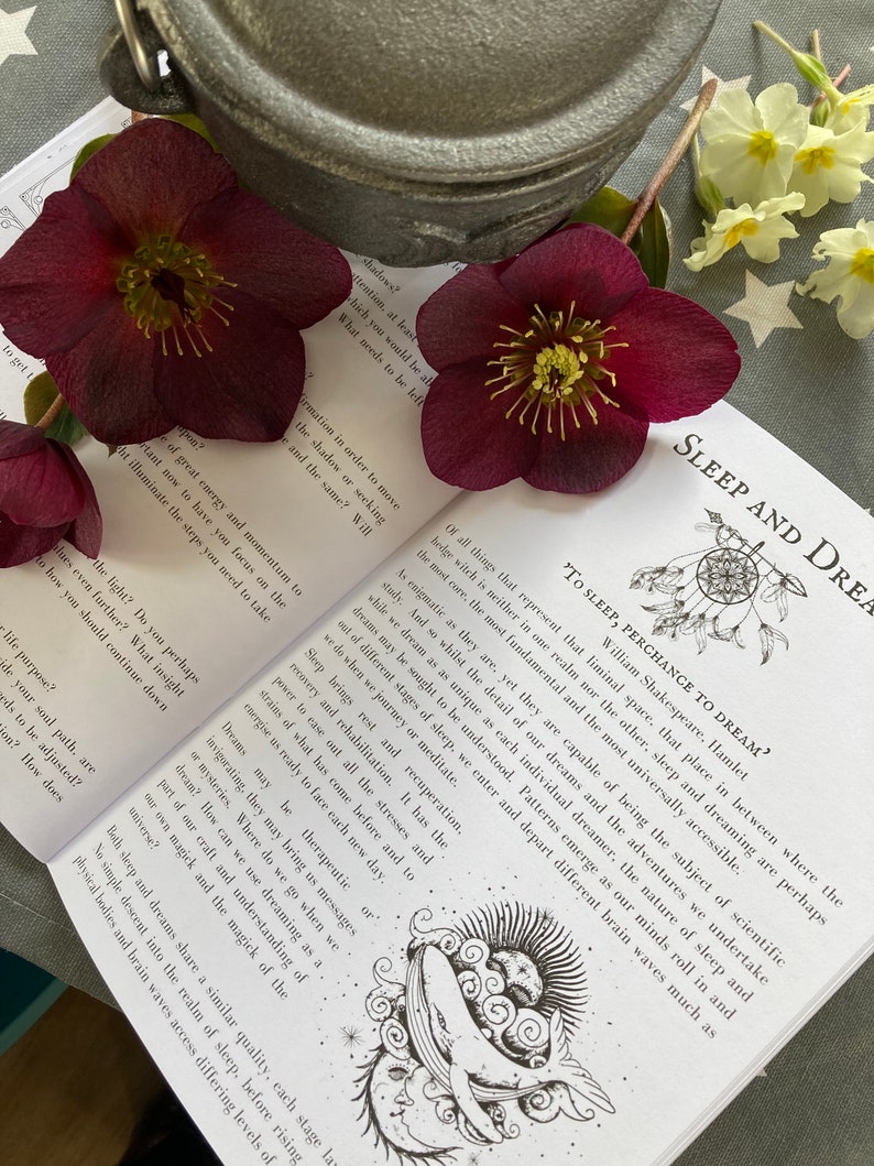 May include: A book with a black and white illustration of a whale and a crescent moon. The book's title is "To Sleep, Perchance to Dream?" and the text is a quote from William Shakespeare's Hamlet. The book is open and lying on a table with a gray pot and red flowers.