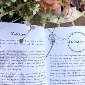 May include: Open book with a white background, featuring illustrations of yarrow and dandelion plants. The text on the page reads "Yarrow" and "Dandelion" with descriptions of the plants' properties and uses.