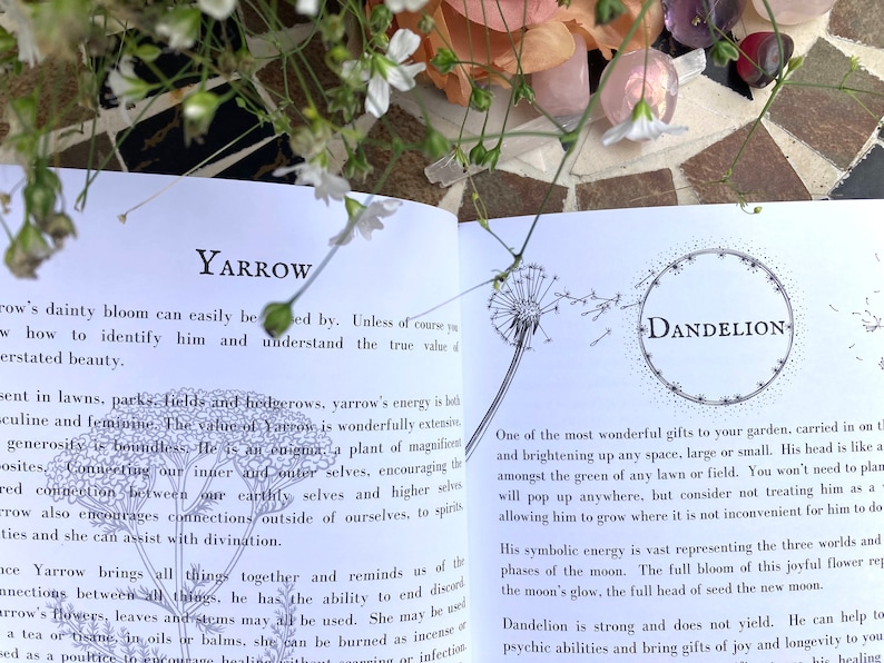May include: Open book with a white background, featuring illustrations of yarrow and dandelion plants. The text on the page reads "Yarrow" and "Dandelion" with descriptions of the plants' properties and uses.