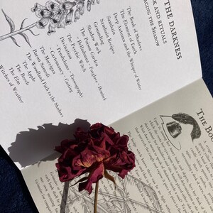 May include: Open book with a black and white illustration of a plant on the left page. The right page has text about "Embracing the Shadow" and lists topics like "The Book of Shadows", "The Element of Earth", "Deep Autumn and the Whisper of Winter", "Samhain", "Samhain Recipes", "Grounding", "Shadow Work", "The Poison Garden", "The Psychic Witch", "Divination", "The Morrigan", "Baron Samedi", "The Woodland Path to the Shadows", "The Apple", "The Beech", "The Elm", and "Witches of Weather". A dried red rose is on top of the book.