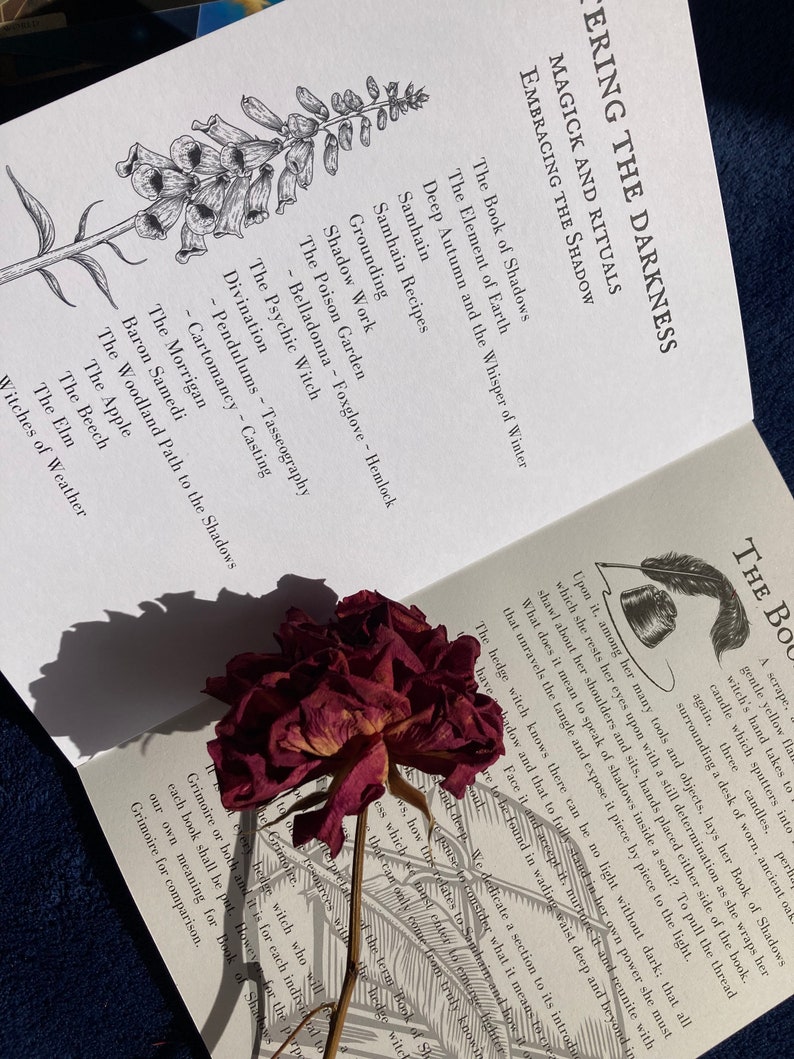 May include: Open book with a black and white illustration of a plant on the left page. The right page has text about "Embracing the Shadow" and lists topics like "The Book of Shadows", "The Element of Earth", "Deep Autumn and the Whisper of Winter", "Samhain", "Samhain Recipes", "Grounding", "Shadow Work", "The Poison Garden", "The Psychic Witch", "Divination", "The Morrigan", "Baron Samedi", "The Woodland Path to the Shadows", "The Apple", "The Beech", "The Elm", and "Witches of Weather". A dried red rose is on top of the book.