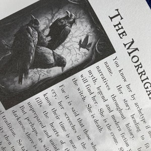 May include: A black and white illustration of three ravens perched on branches. The text "The Morrigal" is in the upper right corner of the image. The text below reads "You know her by archetype if not by name. Her story bending to fit narratives throughout history. In myth, legend and modern fiction you will find her. She is the crone. She is the witch. She is death."