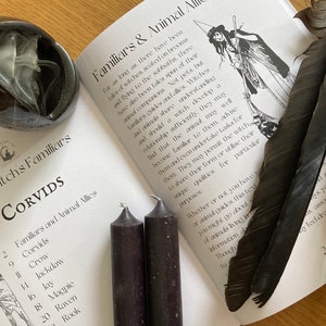 Puede incluir: Un libro titulado "The Witch's Familiars" con una lista de c&oacute;rvidos y sus aliados animales asociados. El libro est&aacute; abierto en una p&aacute;gina sobre los c&oacute;rvidos como familiares y aliados animales. Hay dos velas negras, un quemador de incienso de cer&aacute;mica y tres plumas negras en la p&aacute;gina.