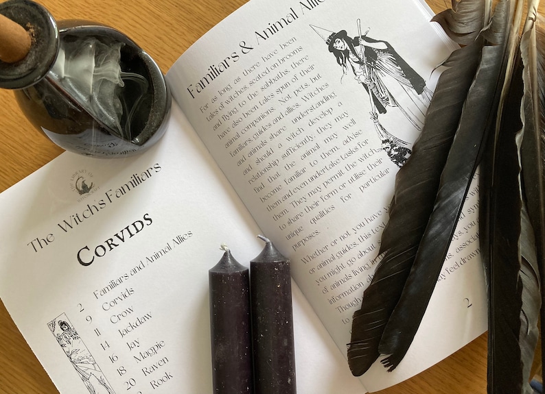 Puede incluir: Un libro titulado "The Witch's Familiars" con una lista de c&oacute;rvidos y sus aliados animales asociados. El libro est&aacute; abierto en una p&aacute;gina sobre los c&oacute;rvidos como familiares y aliados animales. Hay dos velas negras, un quemador de incienso de cer&aacute;mica y tres plumas negras en la p&aacute;gina.
