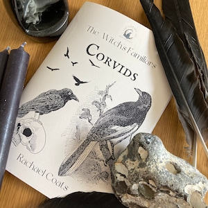 Les familiers de la sorcière : les corvidés