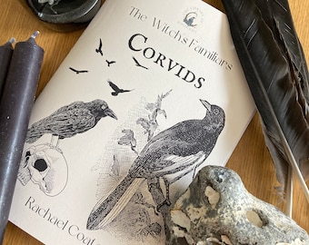 The Witch's Familiars - Corvids