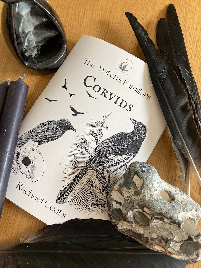 Puede incluir: Un libro titulado "The Witch's Familiars: Corvids" de Rachael Coats. La portada del libro presenta ilustraciones en blanco y negro de cuervos y urracas.