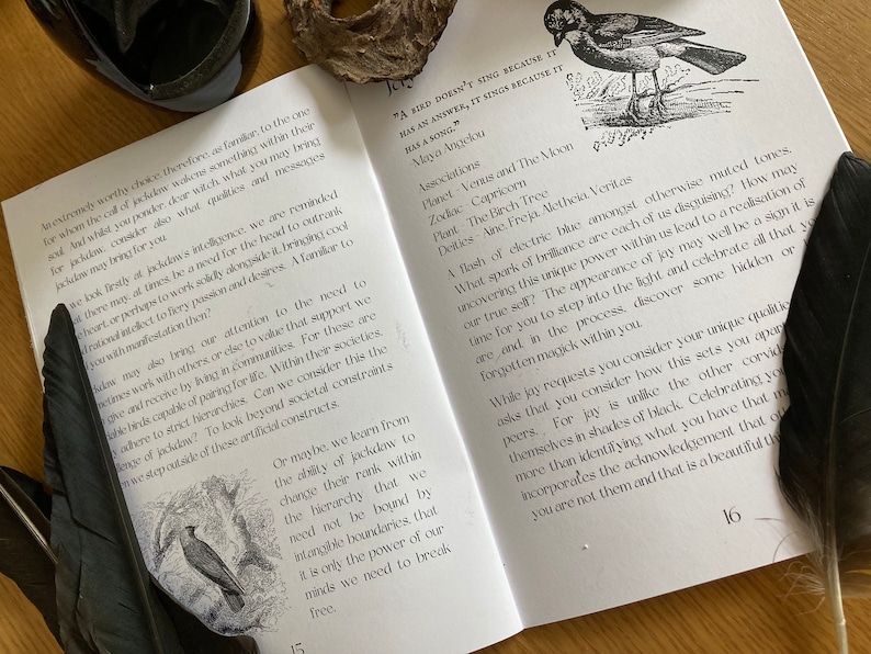 Puede incluir: Libro abierto con ilustraciones en blanco y negro de p&aacute;jaros. El texto en la p&aacute;gina dice "Un p&aacute;jaro no canta porque tiene una respuesta, canta porque tiene una canci&oacute;n." - Maya Angelou. El libro est&aacute; abierto en la p&aacute;gina 15.