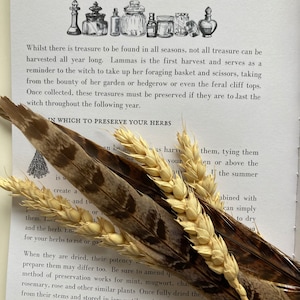 May include: A page from a book titled "The Hedge Witch's Stores" with a black and white illustration of bottles and jars. The text on the page discusses preserving herbs for the following year. The text reads "In Which To Preserve Your Herbs".