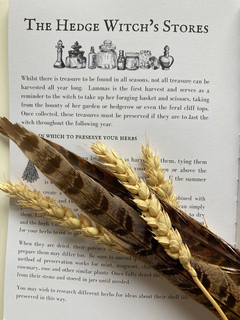 May include: A page from a book titled "The Hedge Witch's Stores" with a black and white illustration of bottles and jars. The text on the page discusses preserving herbs for the following year. The text reads "In Which To Preserve Your Herbs".