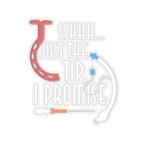 Sshhh...Just the Tip, I Promise | Funny Nurse Sticker | Nurse Sticker | Nurse Gift | Funny Vinyl Nurse Sticker | EMT Gift | Paramedic Gift