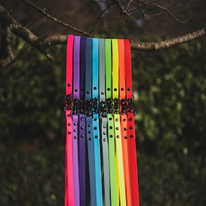 Luxury Waterproof Dog Lead | Stink Proof | BioThane | Multicoloured | Handmade | Dog Leads and Collars | Panda & Pip | Made In Devon