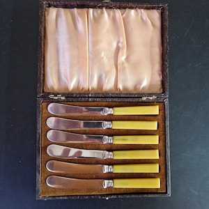 Vintage Boxed set of Yellow Handled EPNS Tea/ Butter Knives x 6
