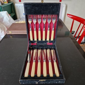 Op de afbeelding: Een vintage bestekset in een zwart fluwelen etui. De set bevat zes vorken en zes messen met crèmekleurige handvatten en zilveren bladen. De koffer is open en onthult de opstelling van het zilverwerk.