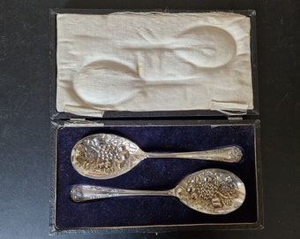 Vintage Boxed Pair of Embossed Fruit Serving Spoons