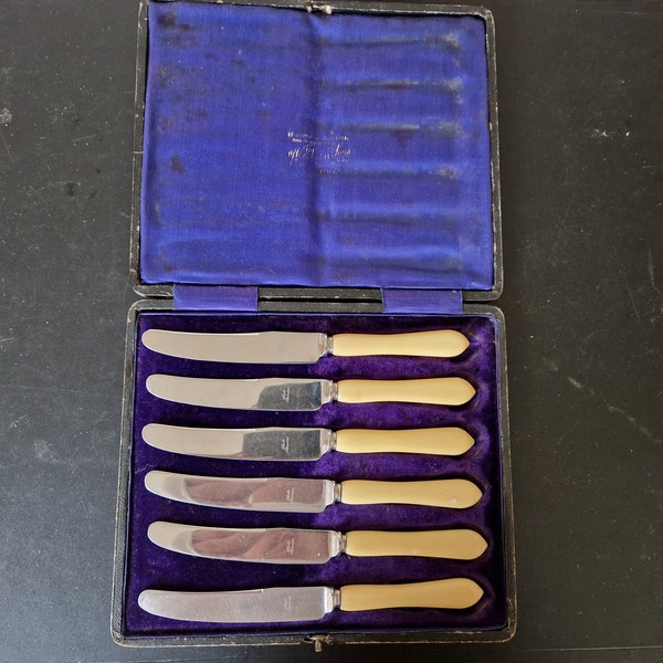 Juego vintage en caja de cuchillos de té/mantequilla con mango de hueso sintético x 6