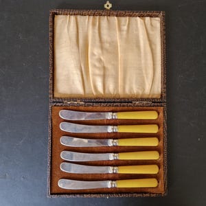 Vintage Boxed set of EPNS Amber Coloured Handled Butter/ Tea Knives x 6