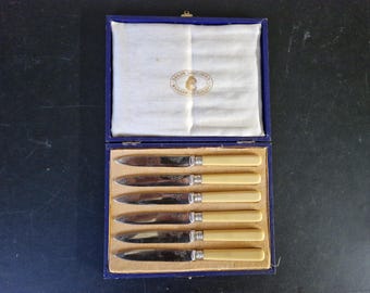 Vintage doos met fruit-/theemessen met handvat van imitatiebeen x 6-6,75 inch
