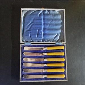 Vintage Boxed set of Amber Coloured Handled Tea/ Butter Knives x 6