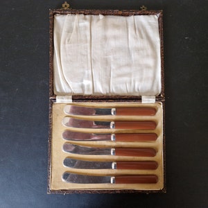 Vintage Boxed set of Caramel Handled EPNS Tea/ Butter Knives x 6